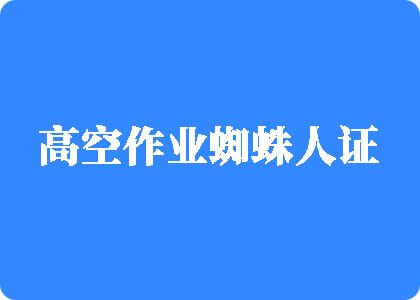 免费操b视频网战高空作业蜘蛛人证